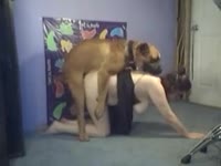 Sexy brunette got back shots from dog's dick